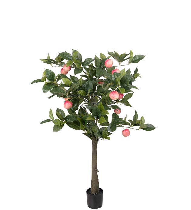 7242-110 - Äppleträd 110 cm