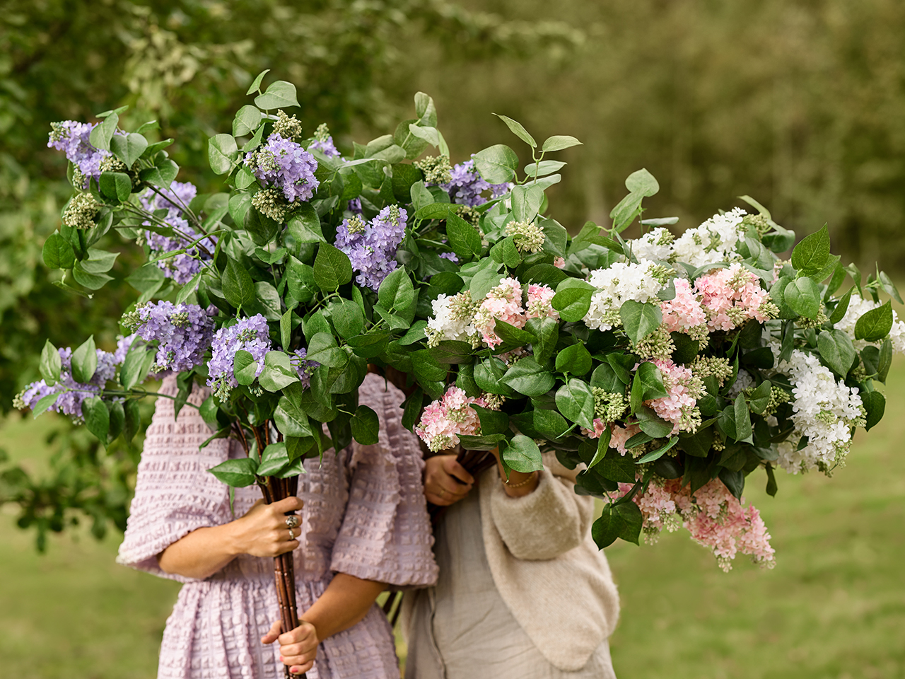 SOMMARFEELING, Sommarens vackra blommor och träd!