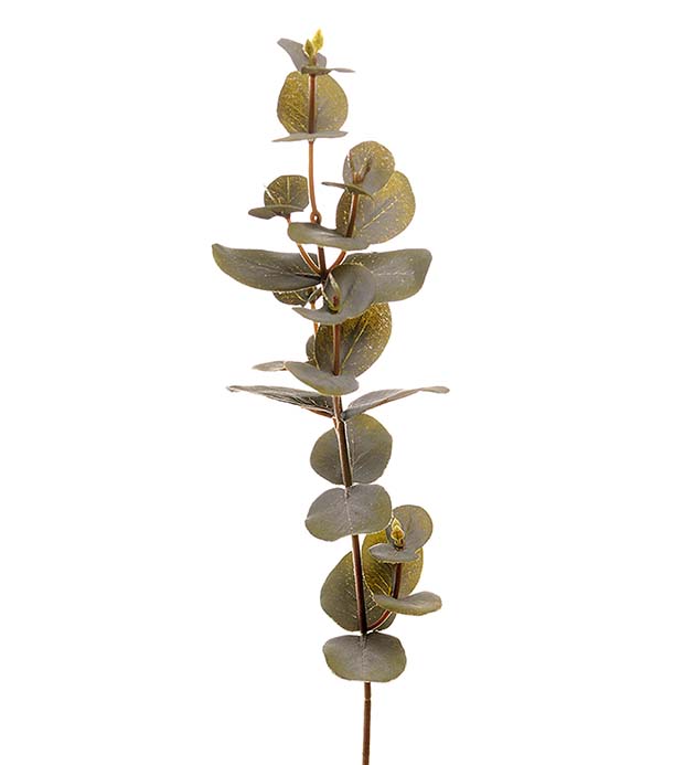 1437-95 - Eucalyptus 40 cm