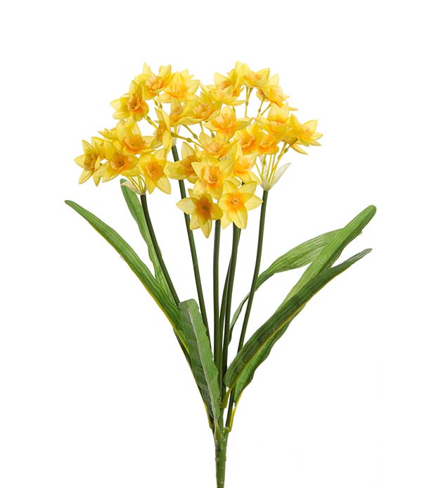 1583-50 - Narciss 43 cm