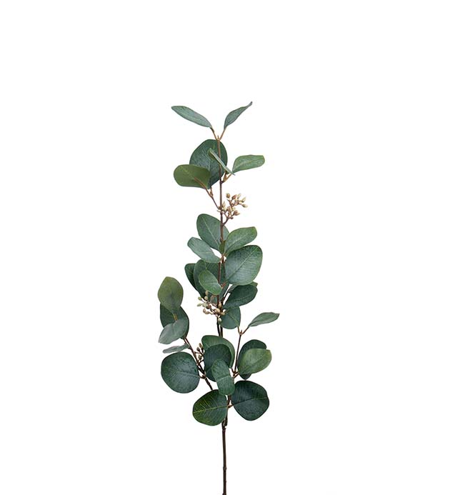 1922-90 - Eucalyptus med bär 70 cm