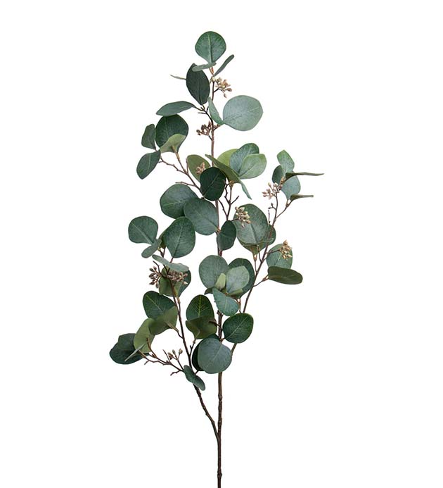 1923-90 - Eucalyptus med bär 100 cm