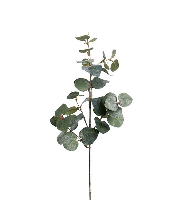 1932-95 - Eucalyptus med is 70 cm