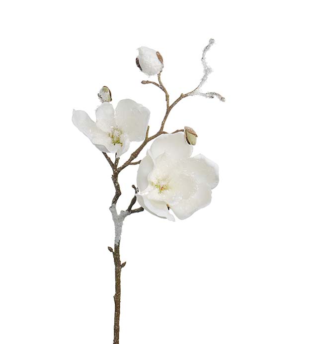1934-10 - Magnolia med is 50 cm