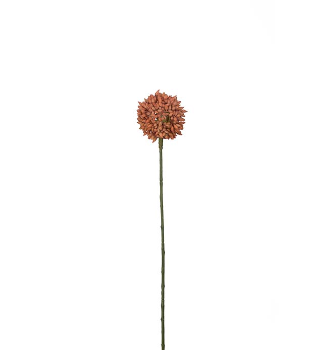 2350-35 - Allium 48 cm