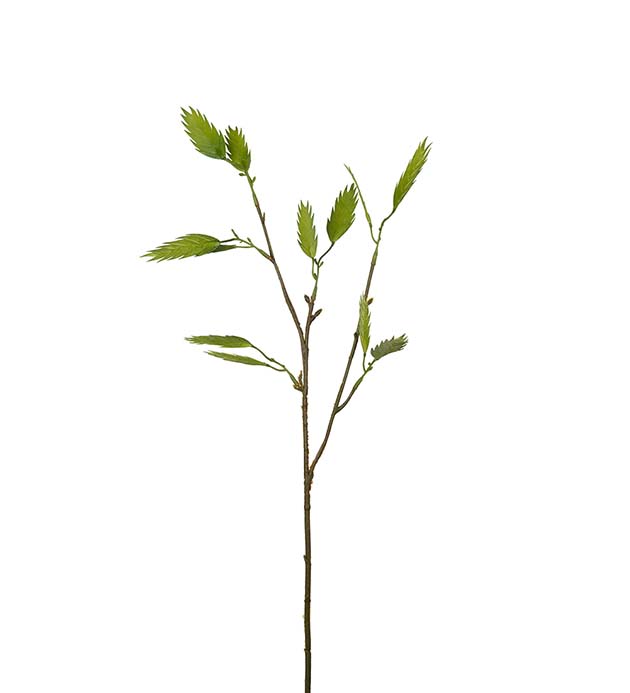 2396-90, Kvist 70 cm