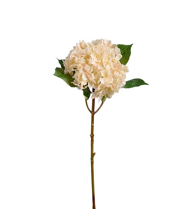 2408-12 - Hortensia
