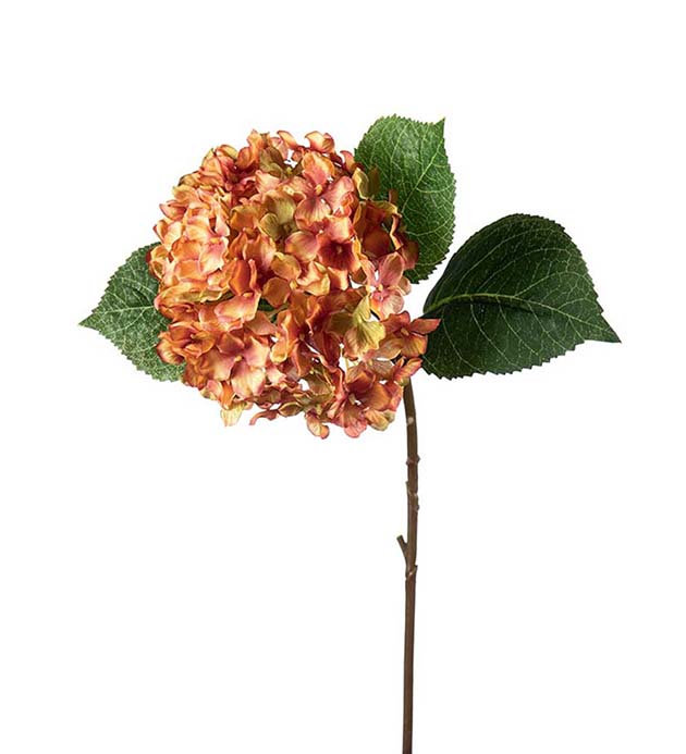 2408-23 - Hortensia