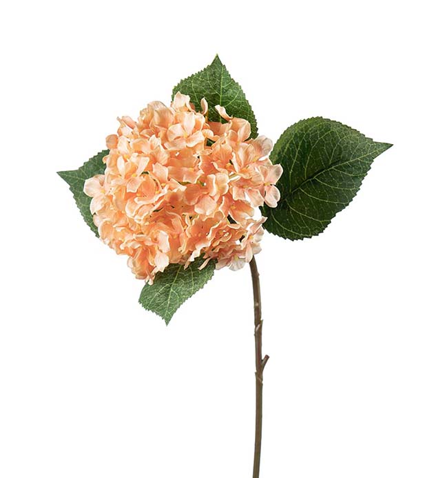 2408-31 - Hortensia
