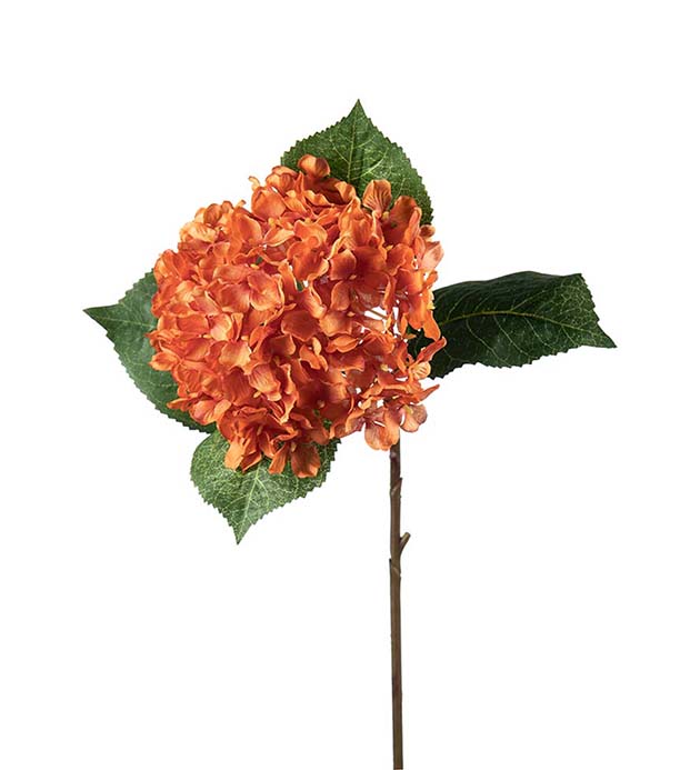 2408-35 - Hortensia