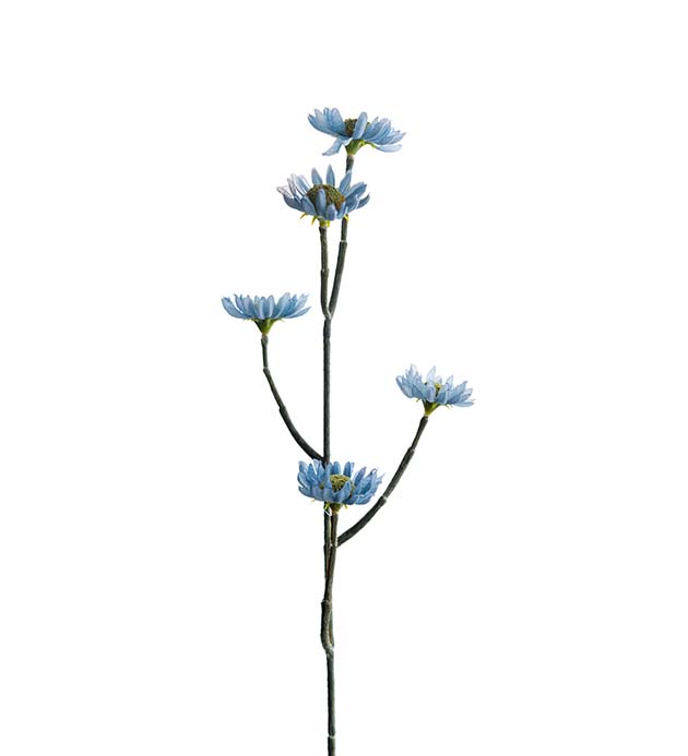 2434-60, Eternell 50 cm