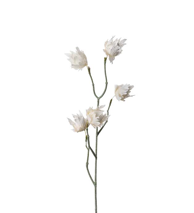 2435-10, Eternell 55 cm