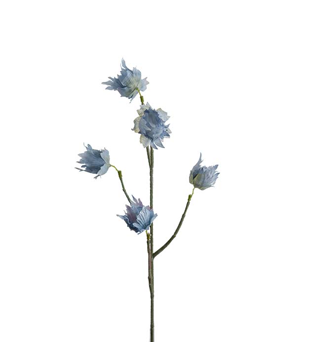 2435-60, Eternell 55 cm