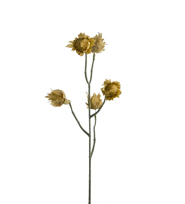 2435-90, Eternell 55 cm