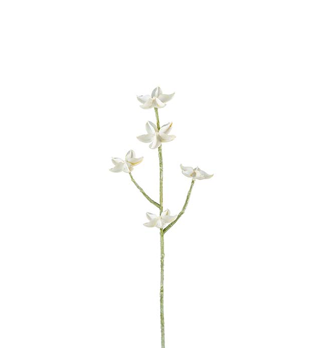 2437-11, Eternell 50 cm