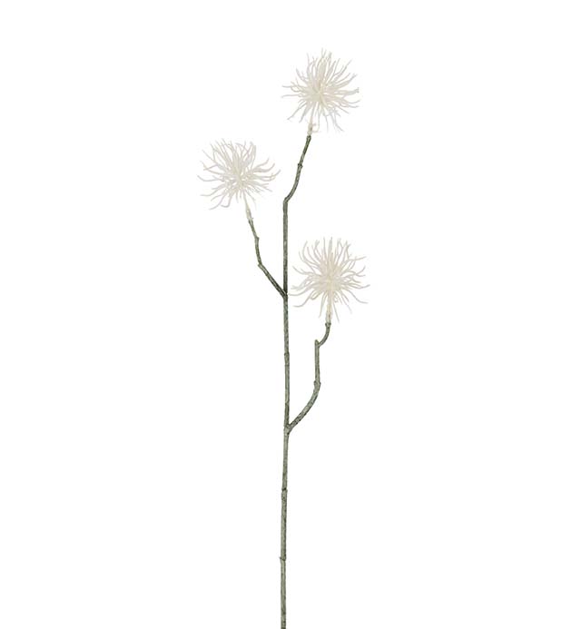 2481-11, Eternell 55 cm