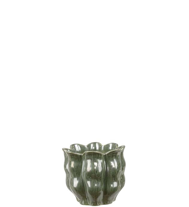 30250072, Kruka Zana