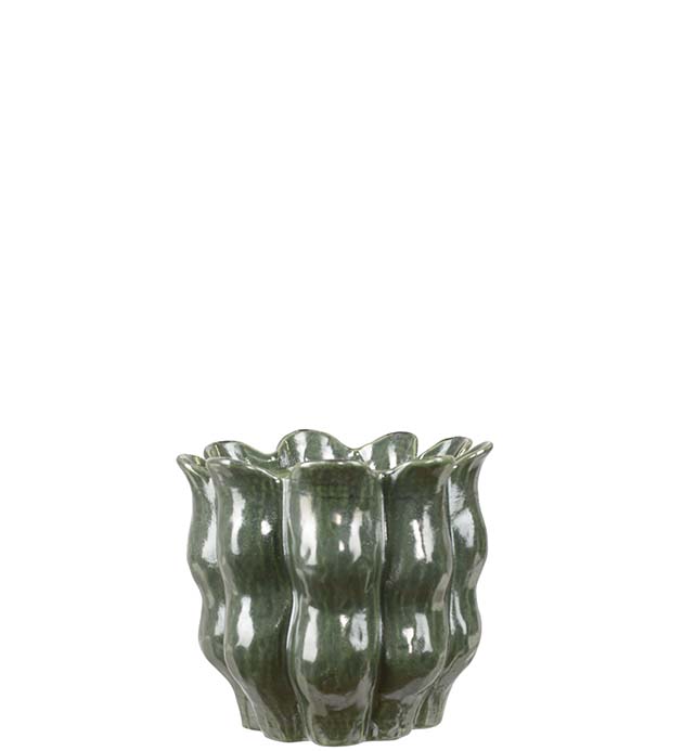 30250074, Kruka Zana