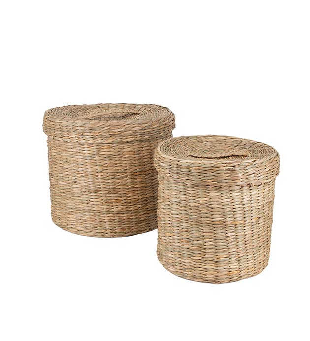 30250085, Korg Shia 2/S