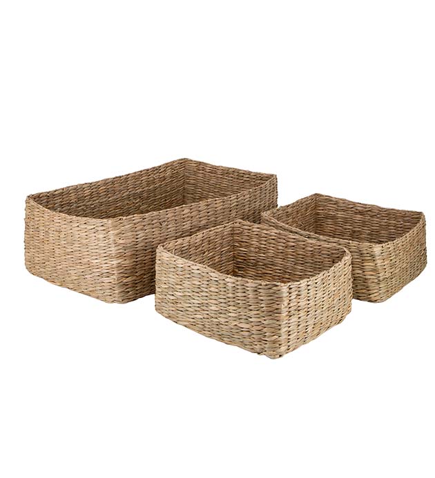 30250086, Korg Shia 3/S