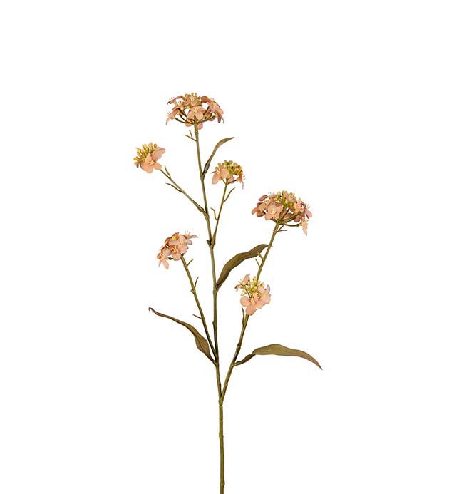 3235-71 - Blomster Iberis 60 cm
