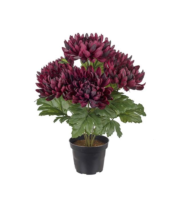 3508-85-1 - Chrysanthemum 30 cm