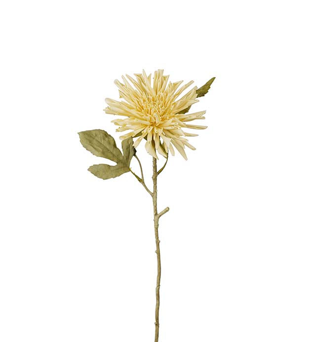 3618-11 - Chrysanthemum