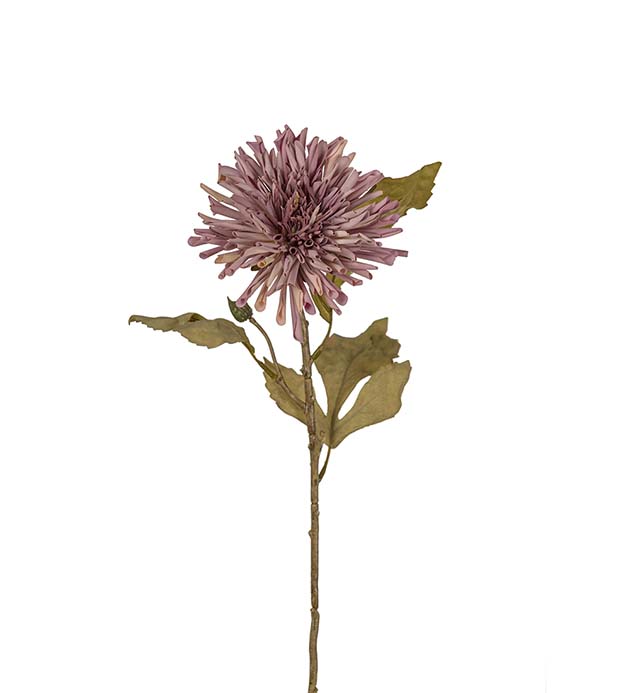 3618-40 - Chrysanthemum