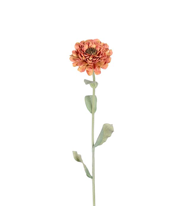 3901-35 - Zinnia