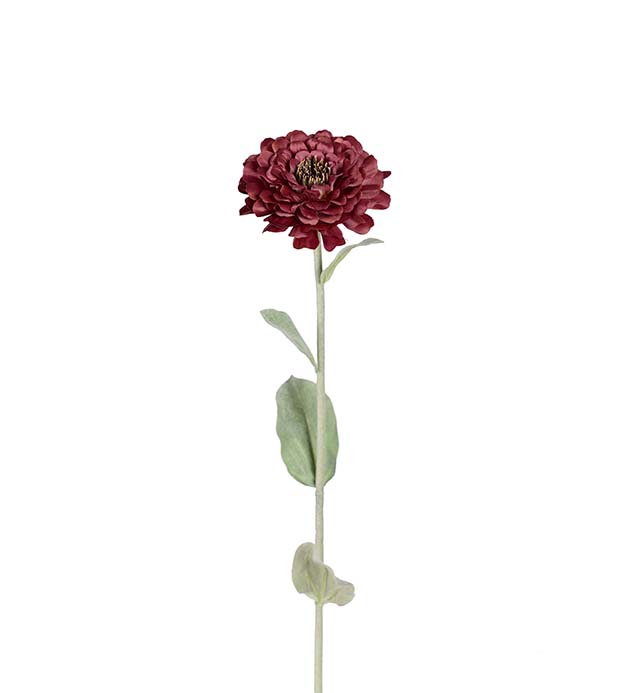 3901-80 - Zinnia