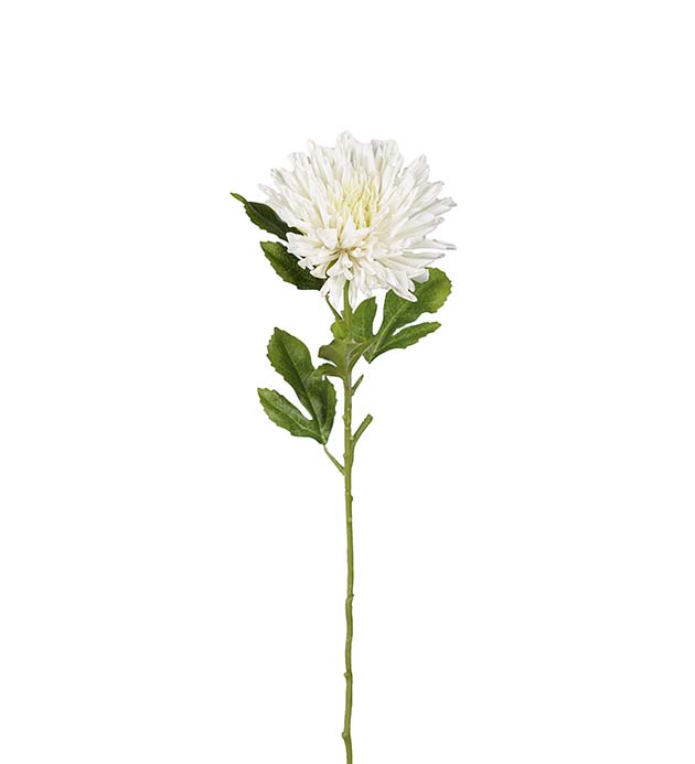 3927-11 - Chrysanthemum