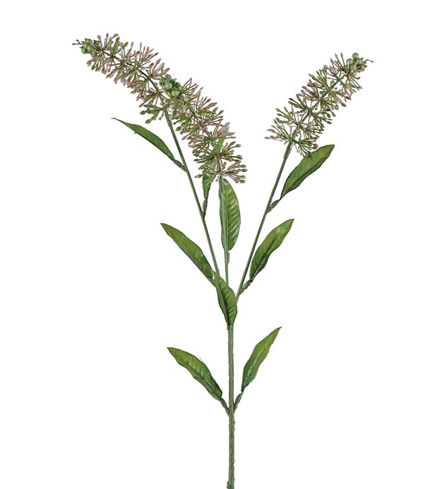 3962-20 - Astilbe