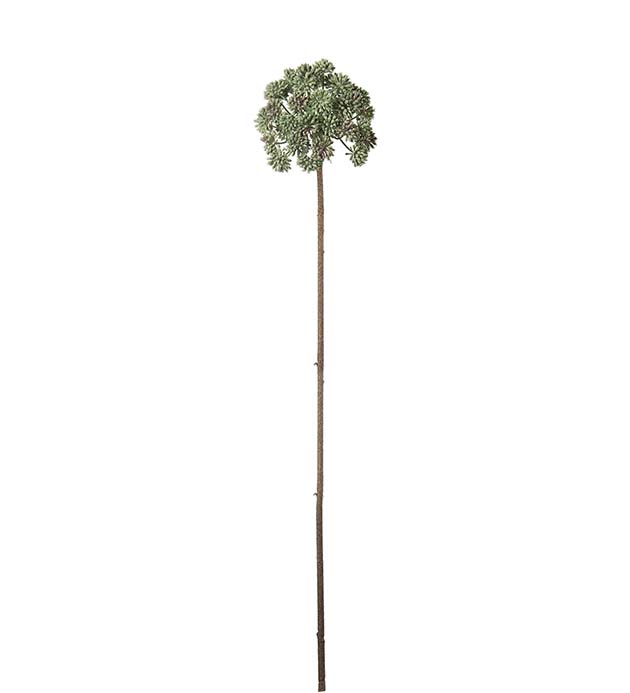 4017-90, Angelica