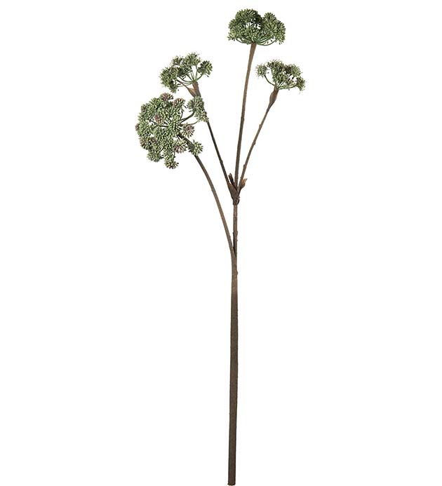 4018-90, Angelica