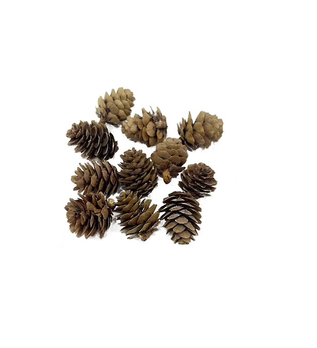 40231456, Dekoration Gill