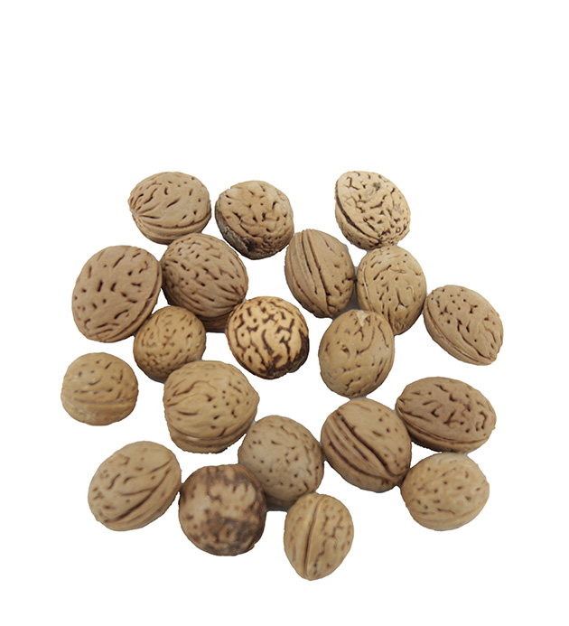 40231461, Dekoration Gill