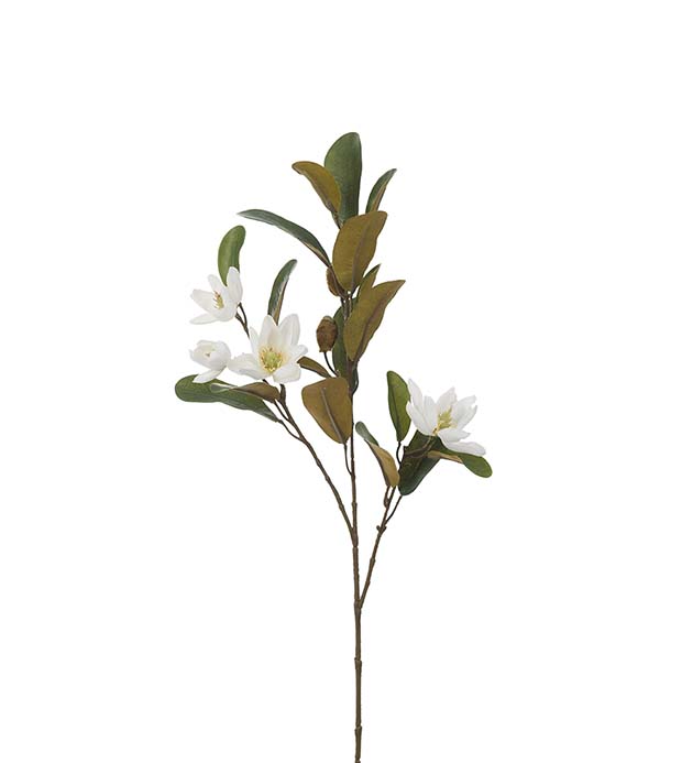4065-10 - Magnolia
