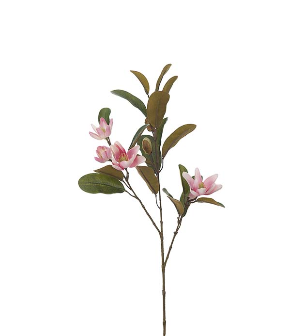 4065-20 - Magnolia