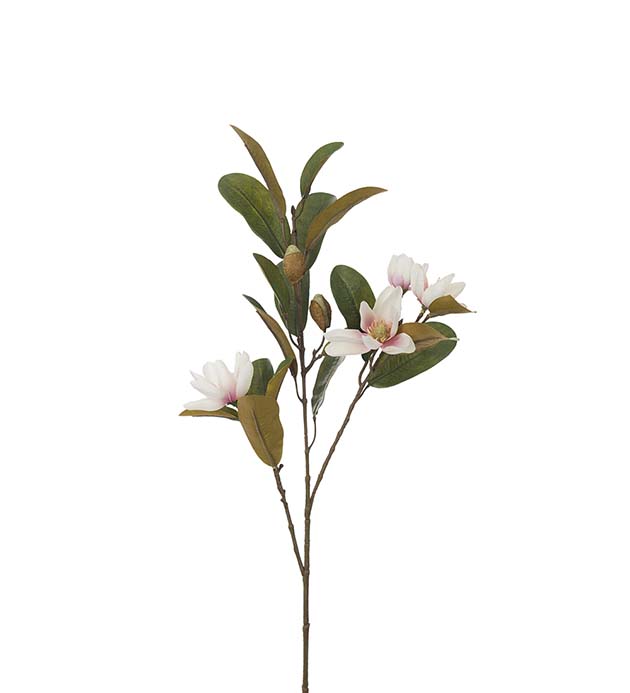 4065-21 - Magnolia