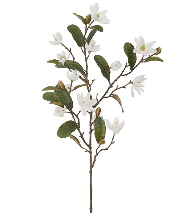 4066-10 - Magnolia