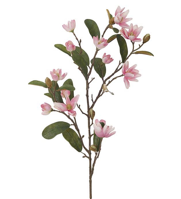 4066-20 - Magnolia