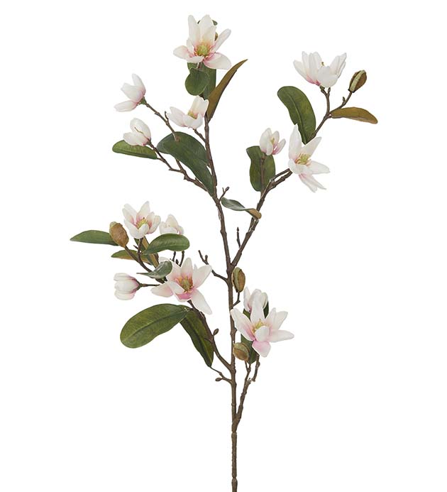 4066-21 - Magnolia