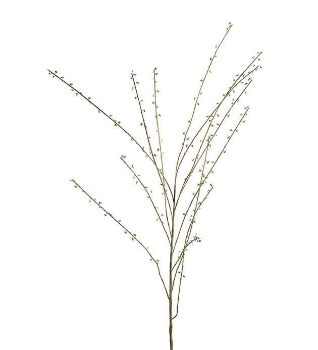 4199-70 - Salix kvist 130 cm