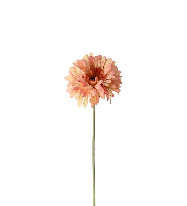 4522-32 - Gerbera