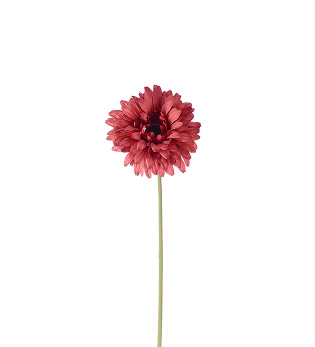 4522-80 - Gerbera