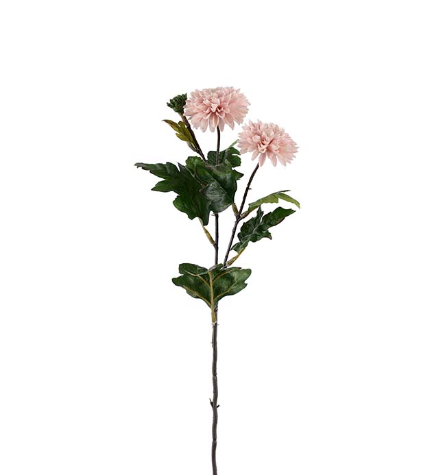 4528-20 - Chrysanthemum