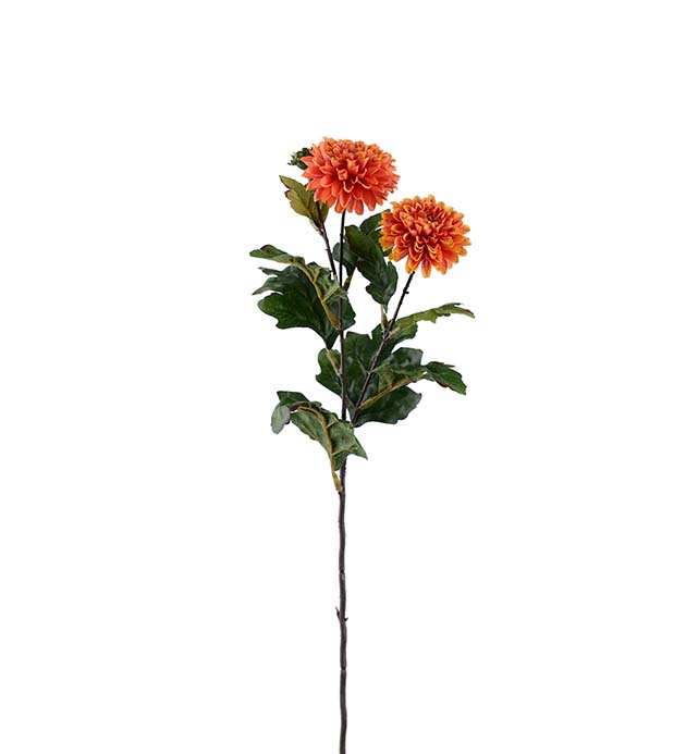 4528-35 - Chrysanthemum