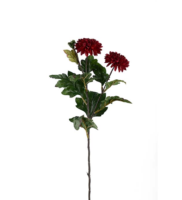 4528-85 - Chrysanthemum