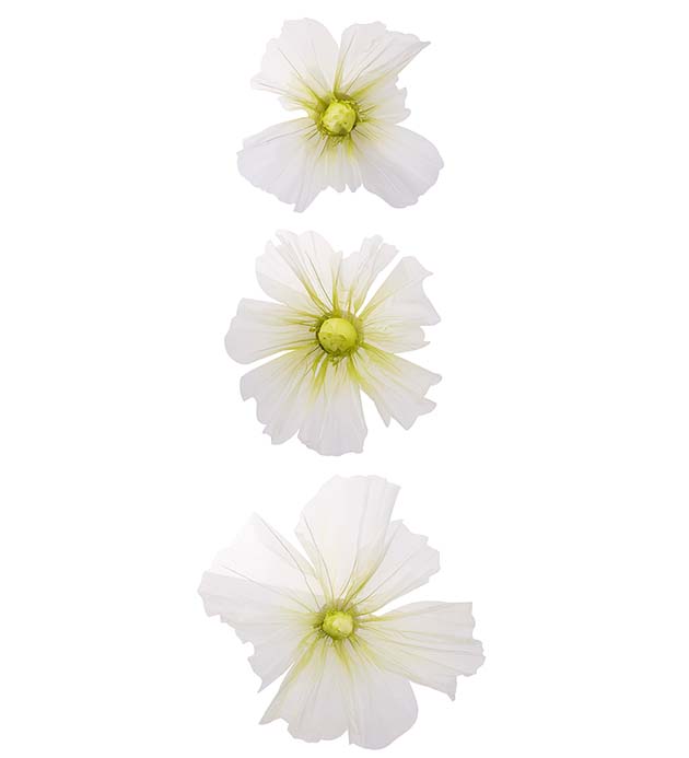 4555-91 - Blomma Leia 3/S vägg