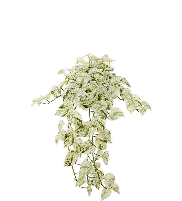 4572-95-1, Gullranka